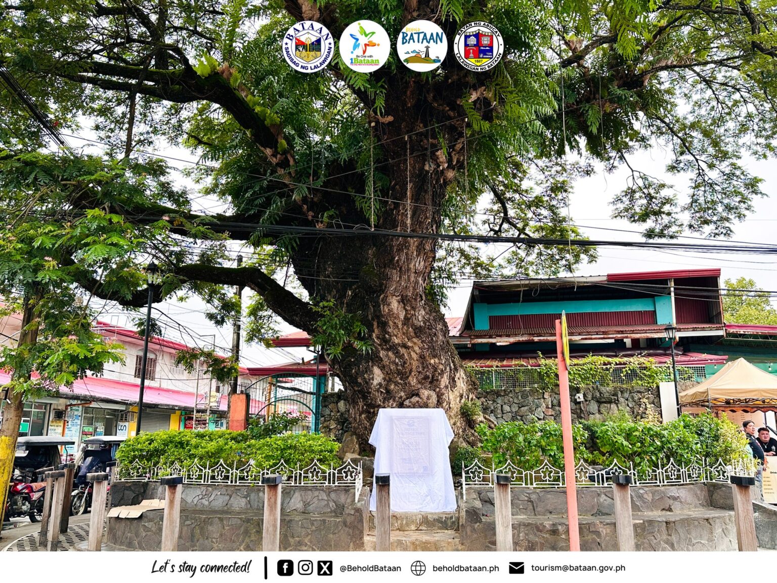Unveiling Ceremony of Bataan Heritage Tree Marker – Behold Bataan