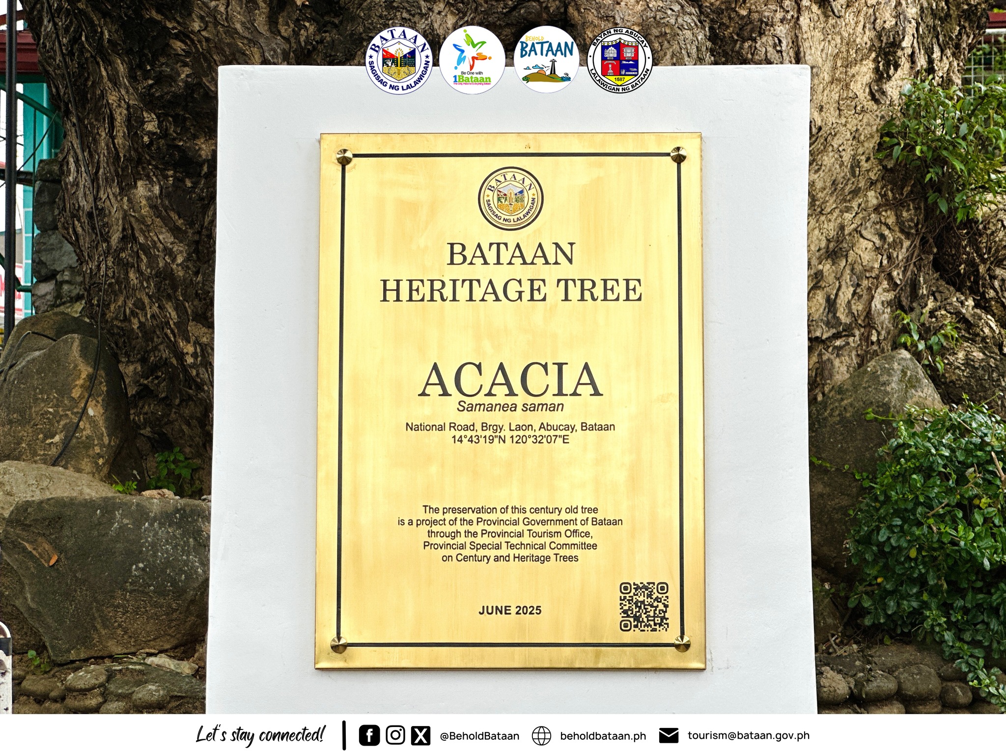 Unveiling Ceremony of Bataan Heritage Tree Marker – Behold Bataan