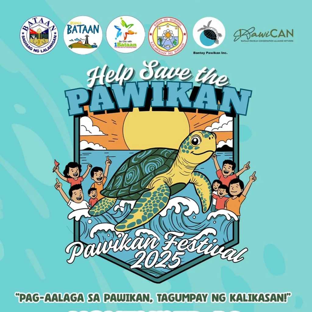 pawikan festival schedule of activities