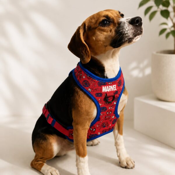 Make It a pawsome Day for Your Furry Friend at&hellip;