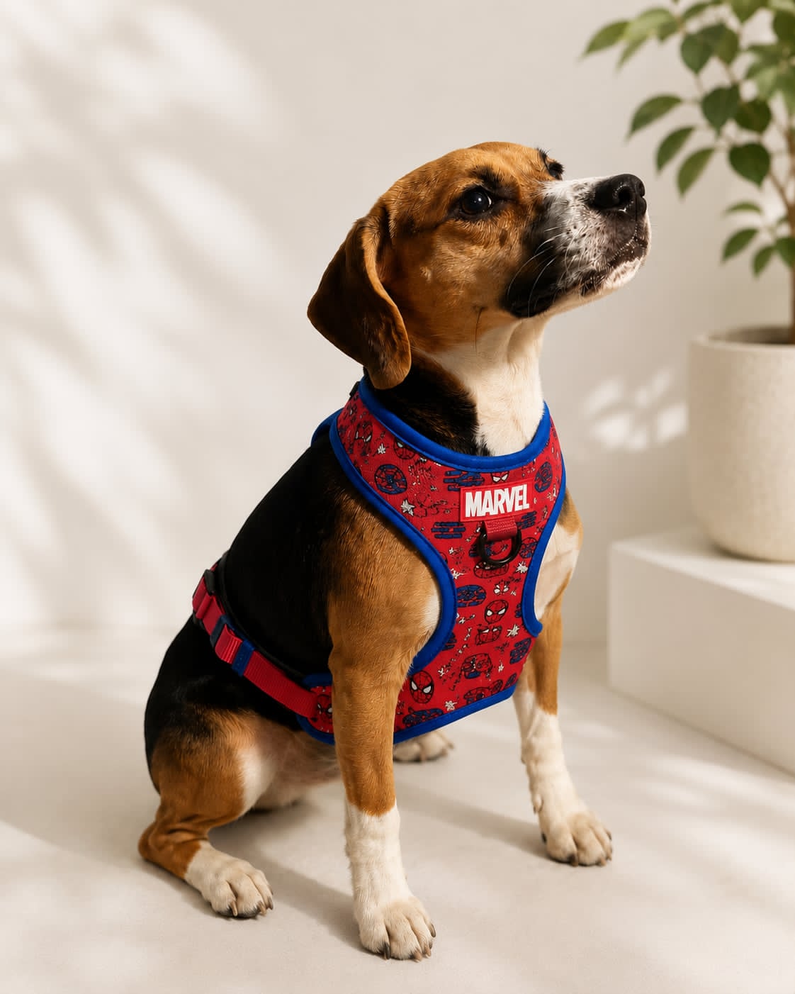 Make It a pawsome Day for Your Furry Friend at SM