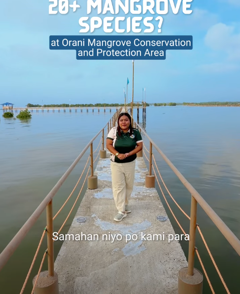 Orani Mangrove Conservation and Protection Area